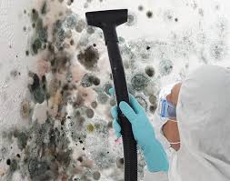 Best Mold Removal for HVAC Installations  in Chittenango, NY